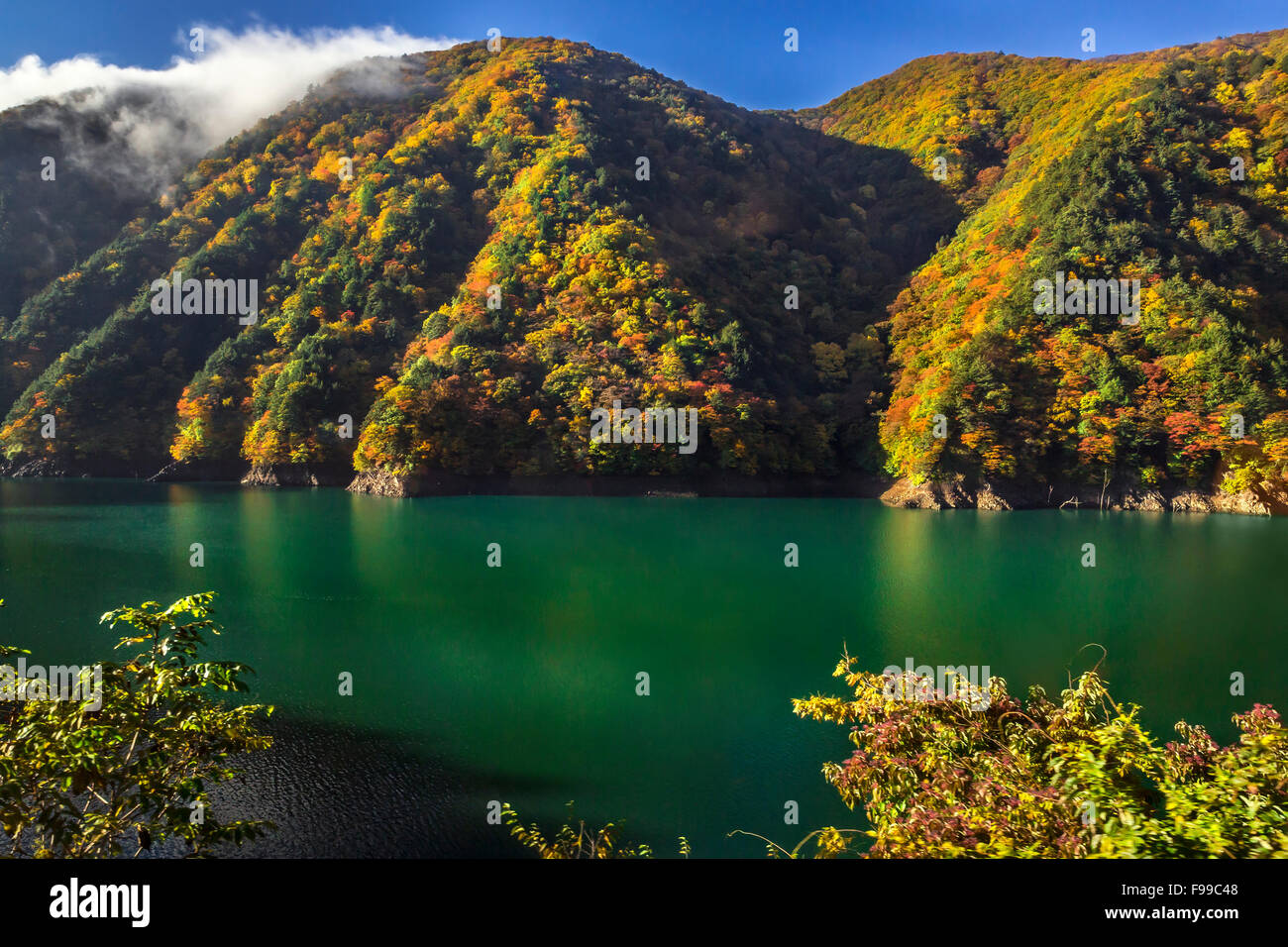 Verde chiaro lago vista laterale in autunno Foto Stock
