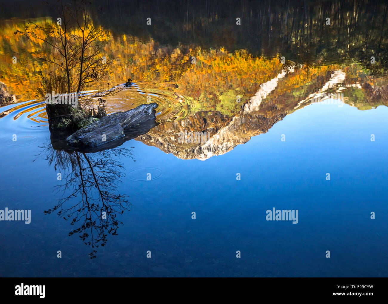 Blu chiaro lago vista laterale in autunno Foto Stock