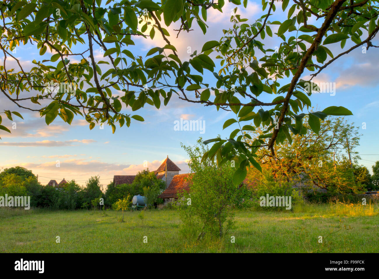 Vista attraverso un frutteto di tradizionali case coloniche Quercy, nella luce della sera. Causse de Gramat, Massiccio centrale, lotto regione, Francia. Foto Stock