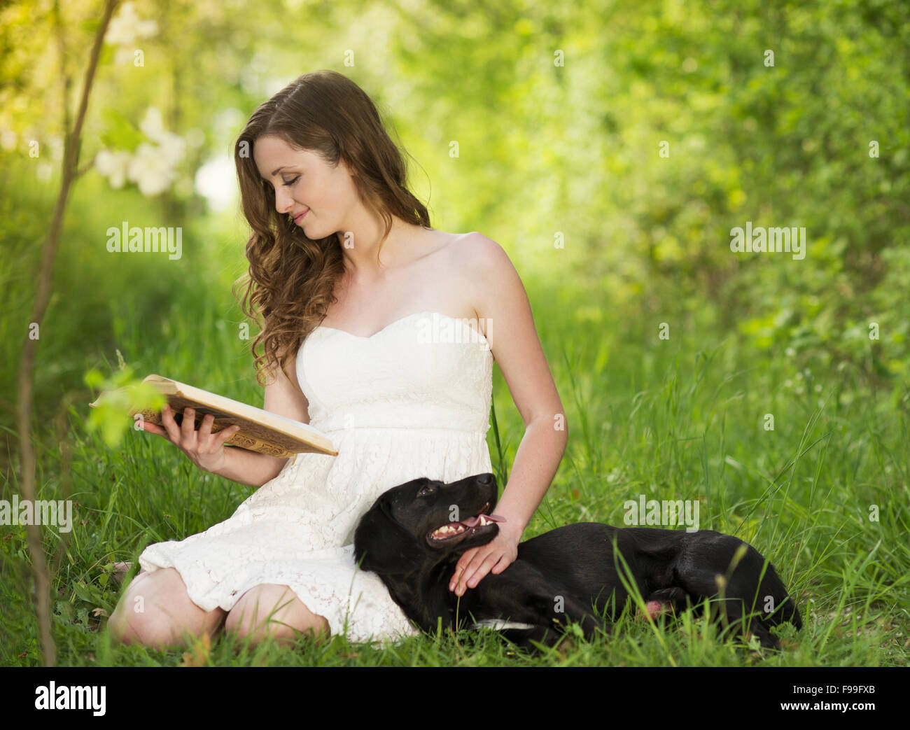 Bellissima giovane donna libro di lettura nel parco verde Foto Stock