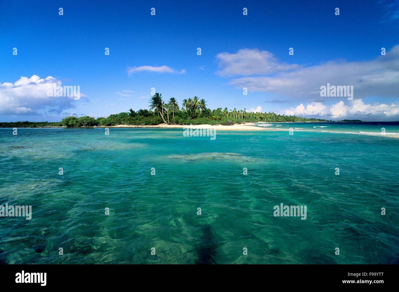 Rangiroa Tuamotu laguna Foto Stock