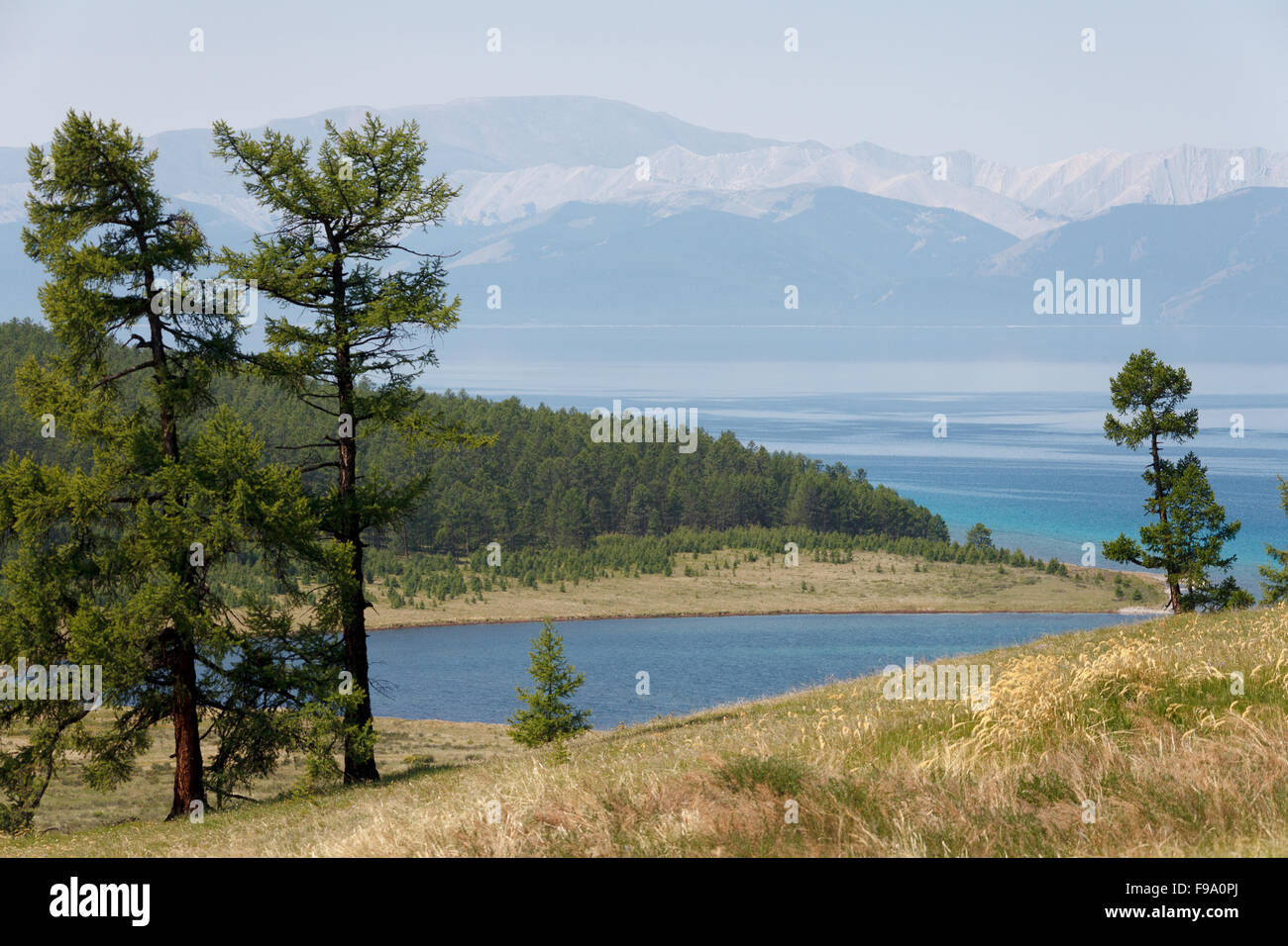 Vista del lago Khovsgol dalla collina Foto Stock