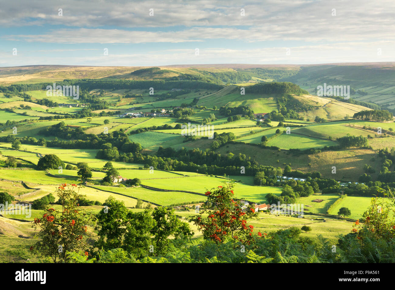 Rosedale Abbey, North Yorkshire Moors, Agosto 2013 Foto Stock