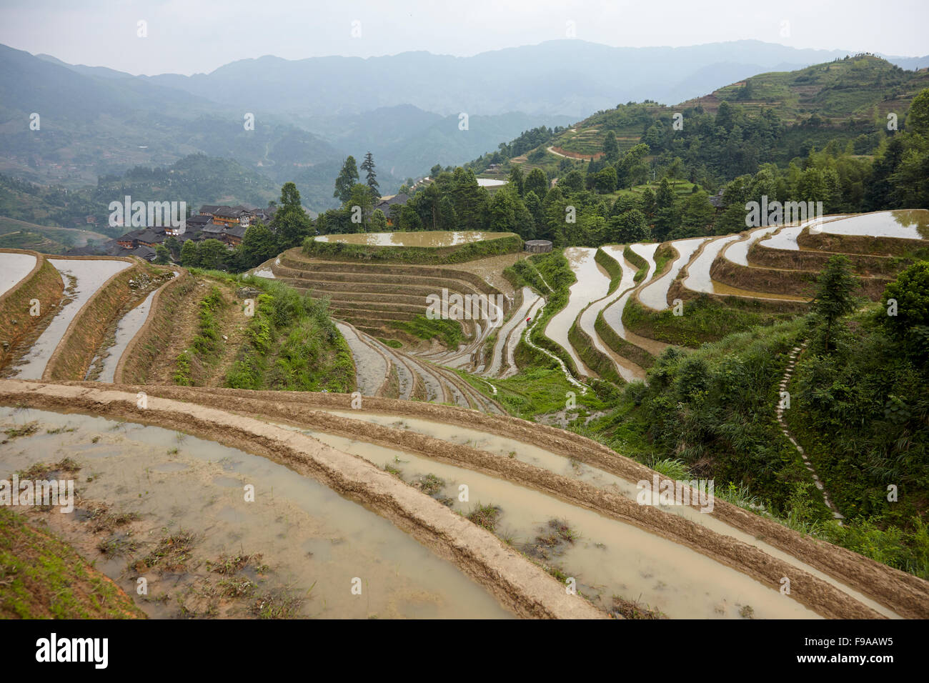 Longsheng terrazze di riso, Cina Foto Stock