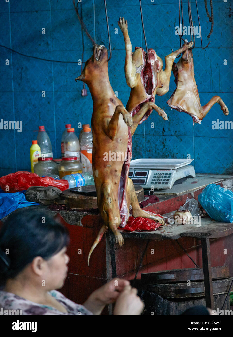 Macellati cani - Mercato di Yangshuo Foto Stock