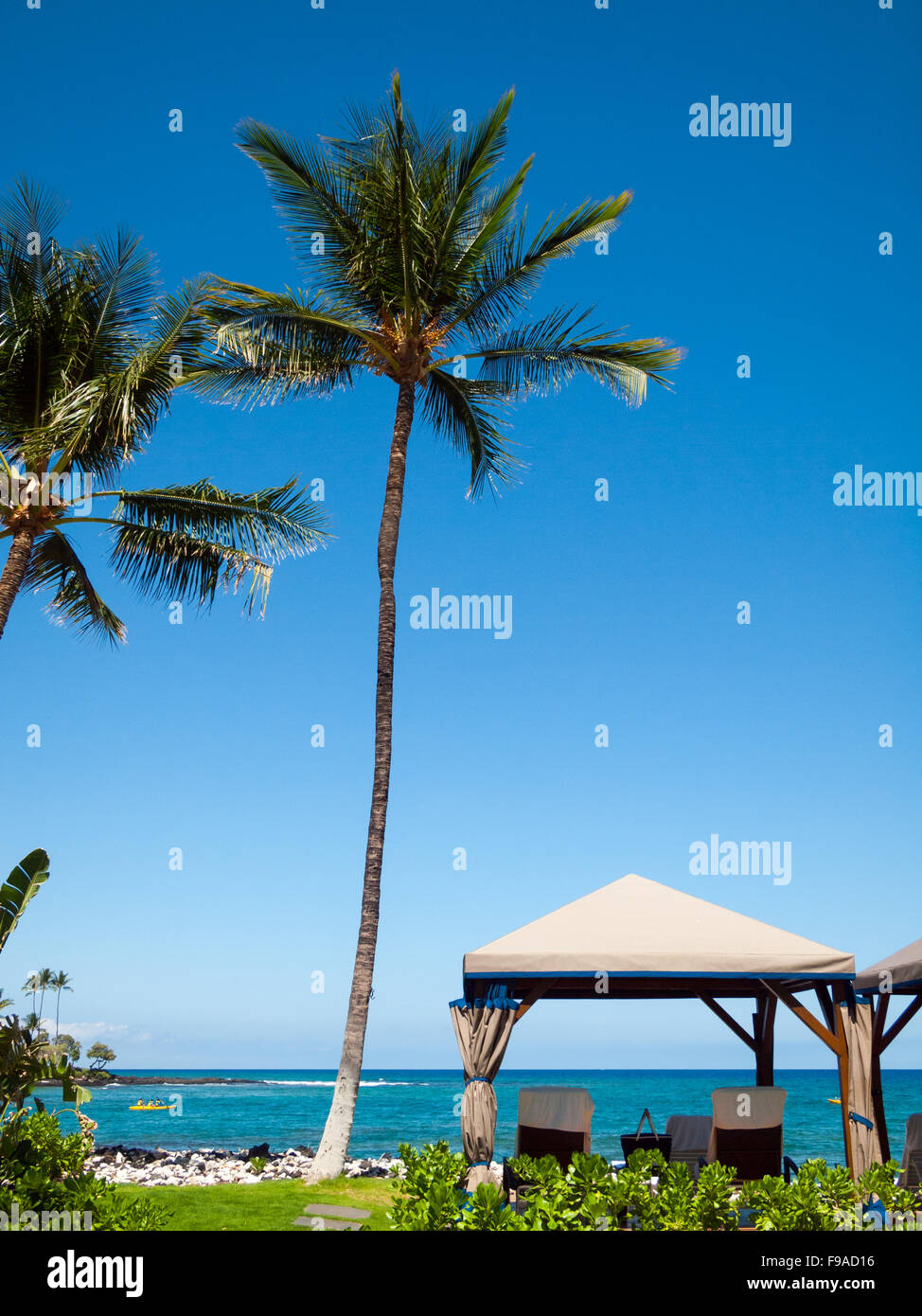 Palme da cocco e una cabana, affacciato sulla Baia di Pauoa presso il Fairmont Orchid, un hotel di lusso sulla Costa Kohala della Hawai'i (Hawaii) Foto Stock