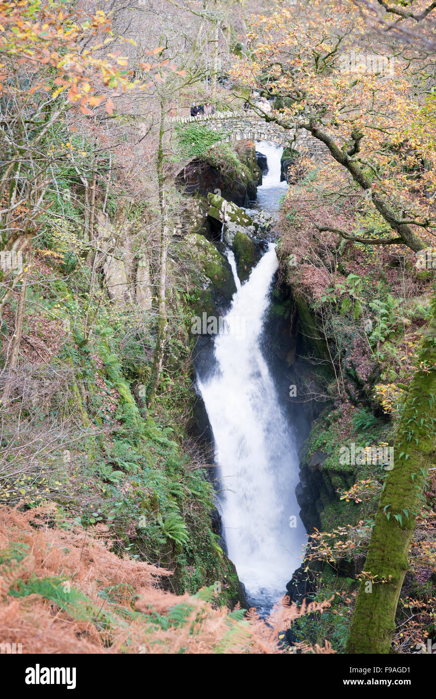 Aira Force cascata Ullswater Cumbria, nel distretto del lago UK in inverno Foto Stock