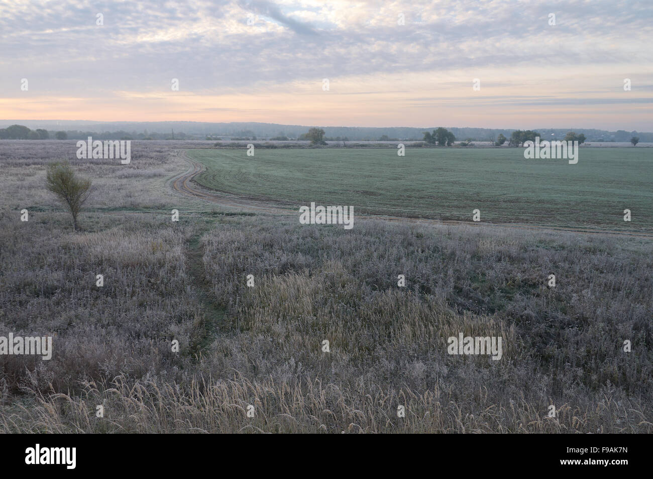 Vista sul grande campo ghiacciato in ottobre mattina Foto Stock