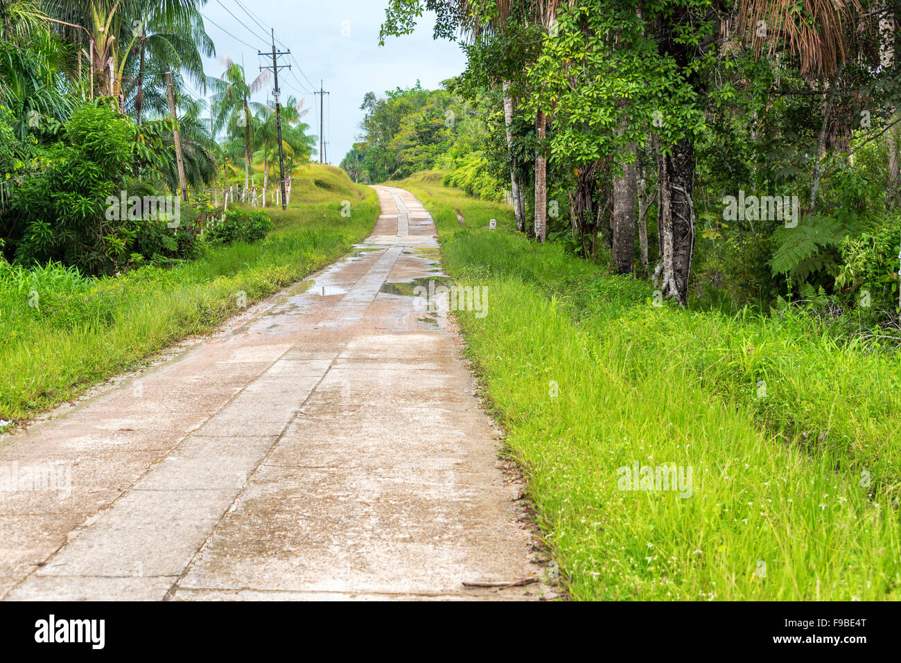 Autostrada in esecuzione attraverso la foresta pluviale amazzonica vicino a Leticia, Colombia Foto Stock