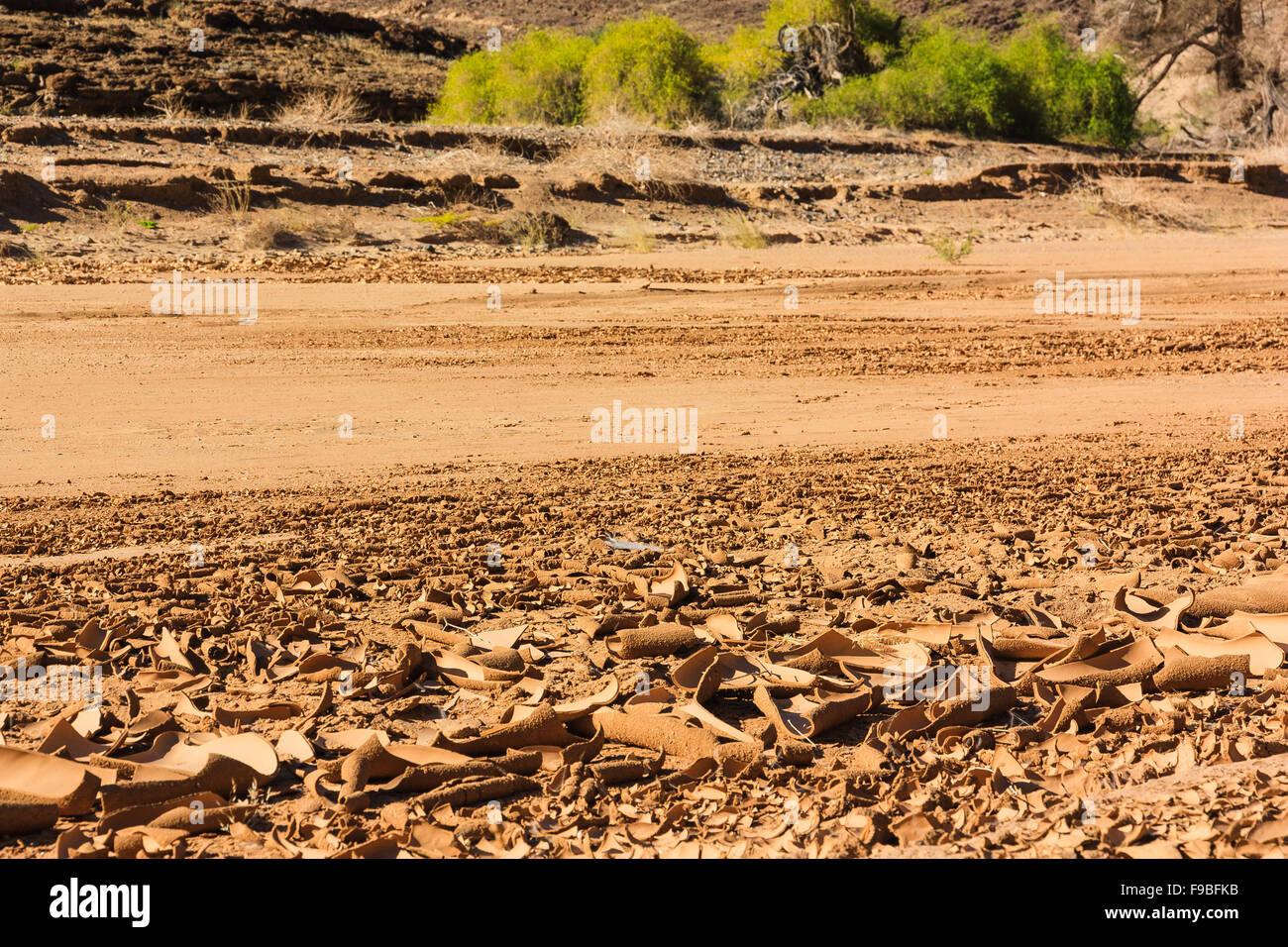 Riverbed secco con superficie incrinato di marrone fango. La Namibia, Damaraland, Africa. Foto Stock