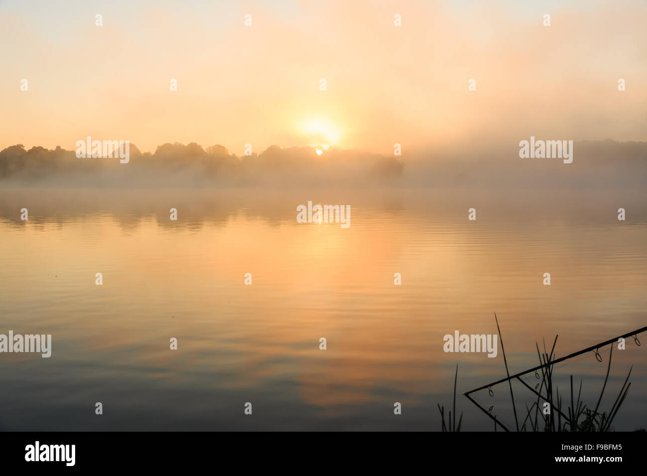 La pesca alla carpa in una nebbiosa lago a sunrise nel centro della Francia. Foto Stock