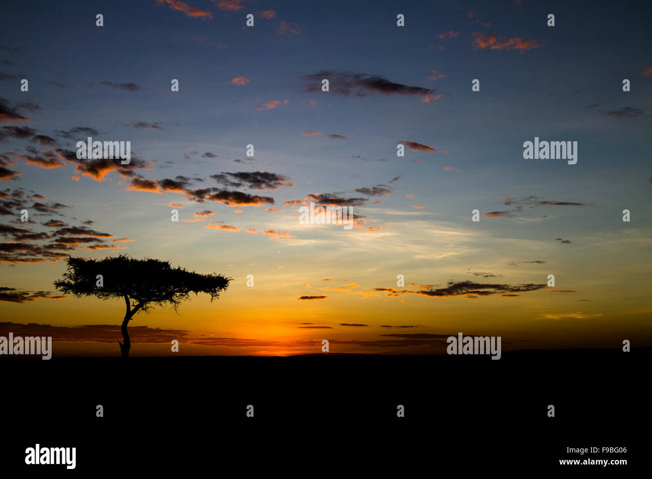 Sunrise nel Mara Foto Stock