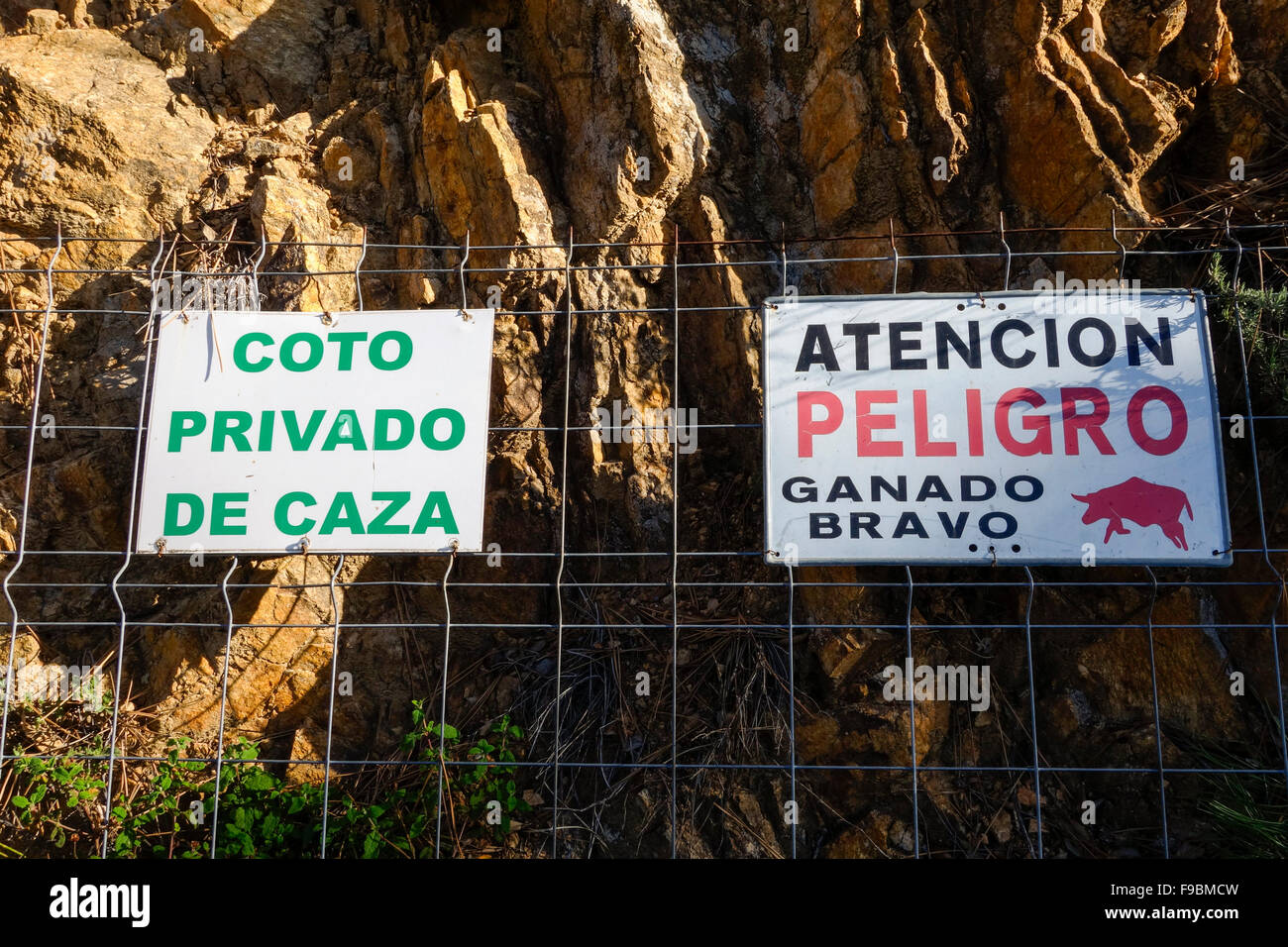 Segni di guardare fuori per i tori da corrida e private area di caccia. Spagna. Foto Stock