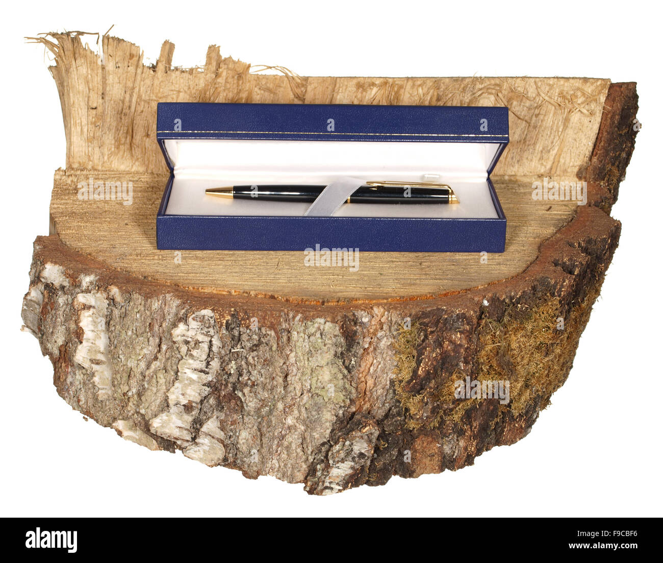 Penna blu in confezione regalo su un pezzo di tronco di betulla isolati su sfondo bianco. Foto Stock