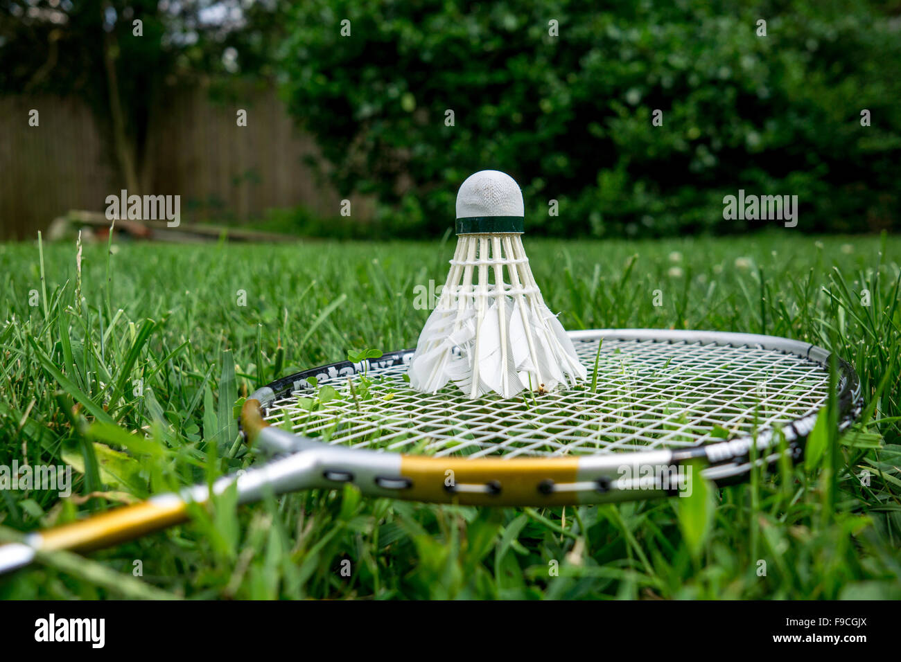 Badminton racchetta e volano sul prato Foto Stock