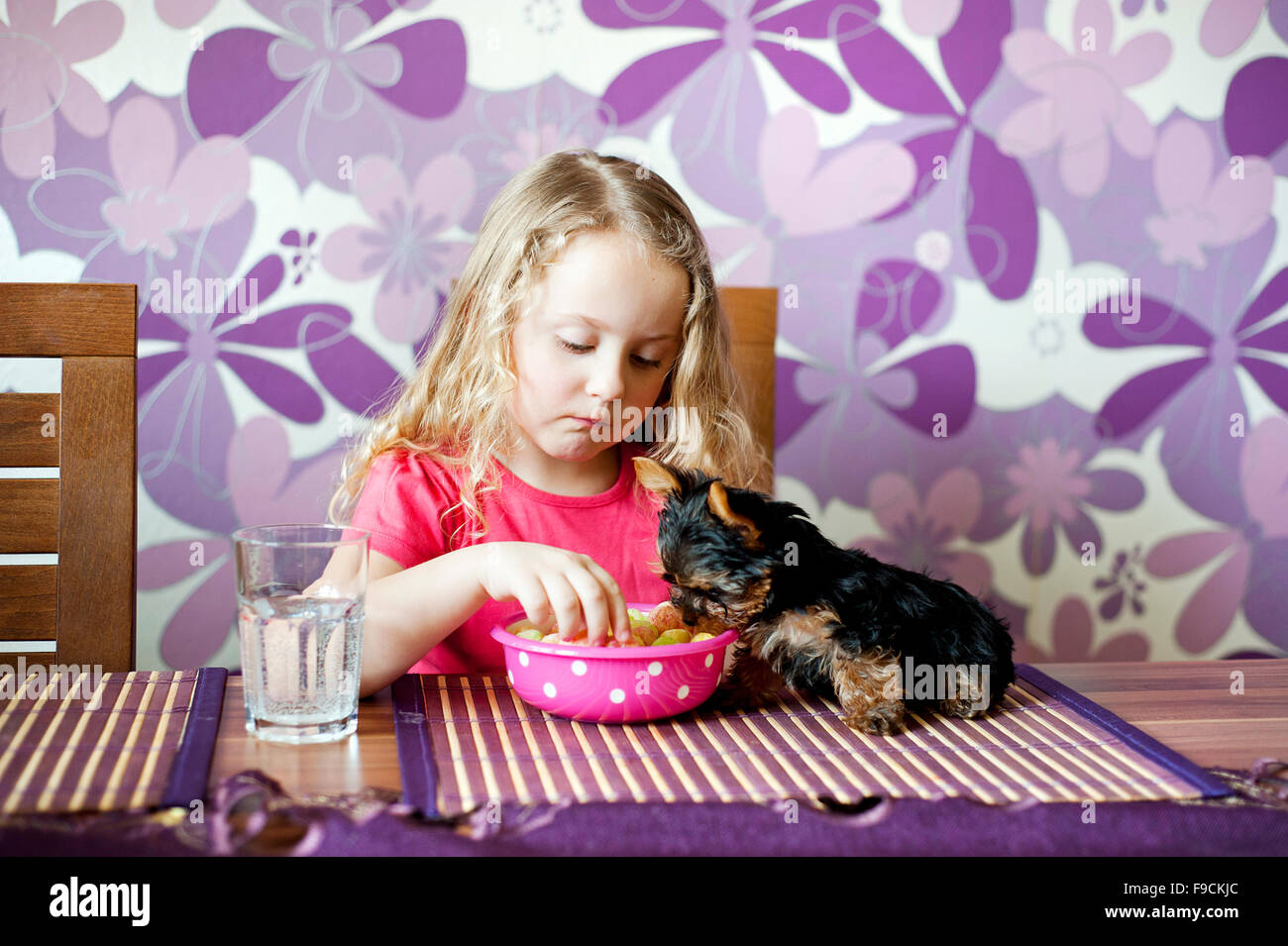 Bambina e il suo cucciolo stanno mangiando snack insieme in cucina Foto Stock