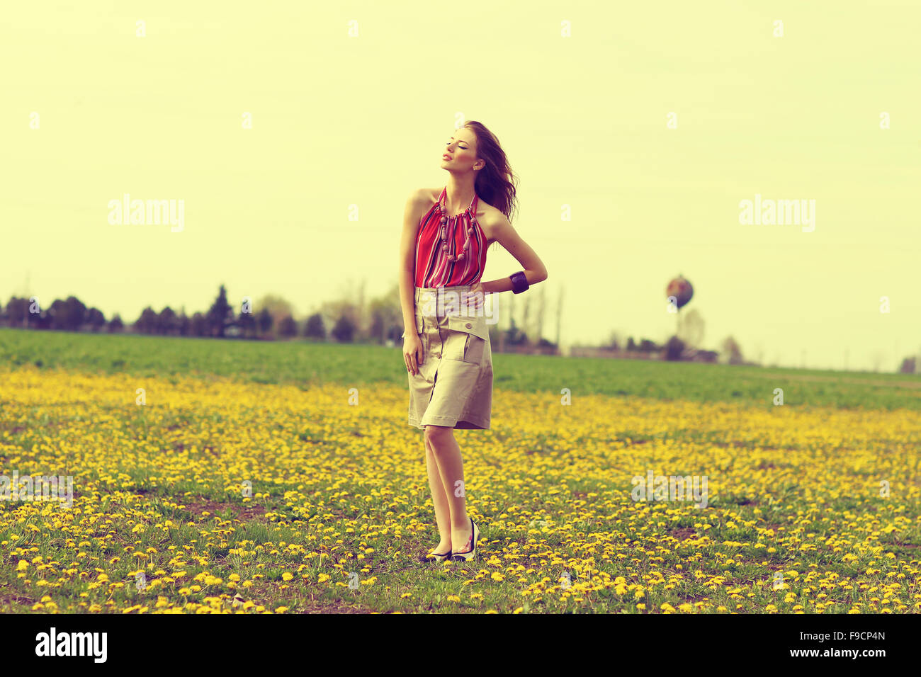 Giovane e bella ragazza in un campo di fiori Foto Stock