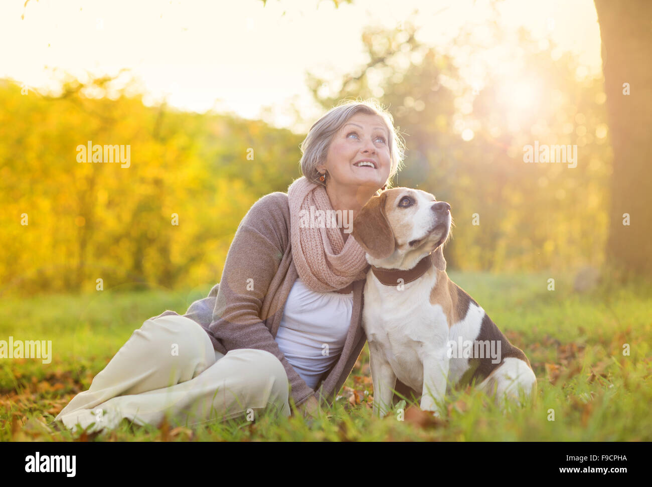 Senior donna avvolge il suo cane beagle in campagna Foto Stock