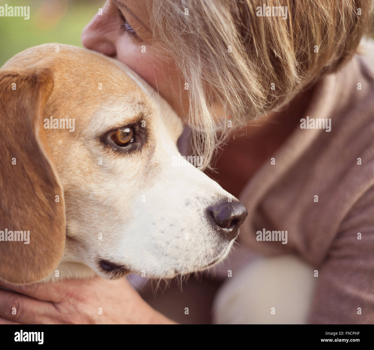 Senior donna avvolge il suo cane beagle in campagna Foto Stock