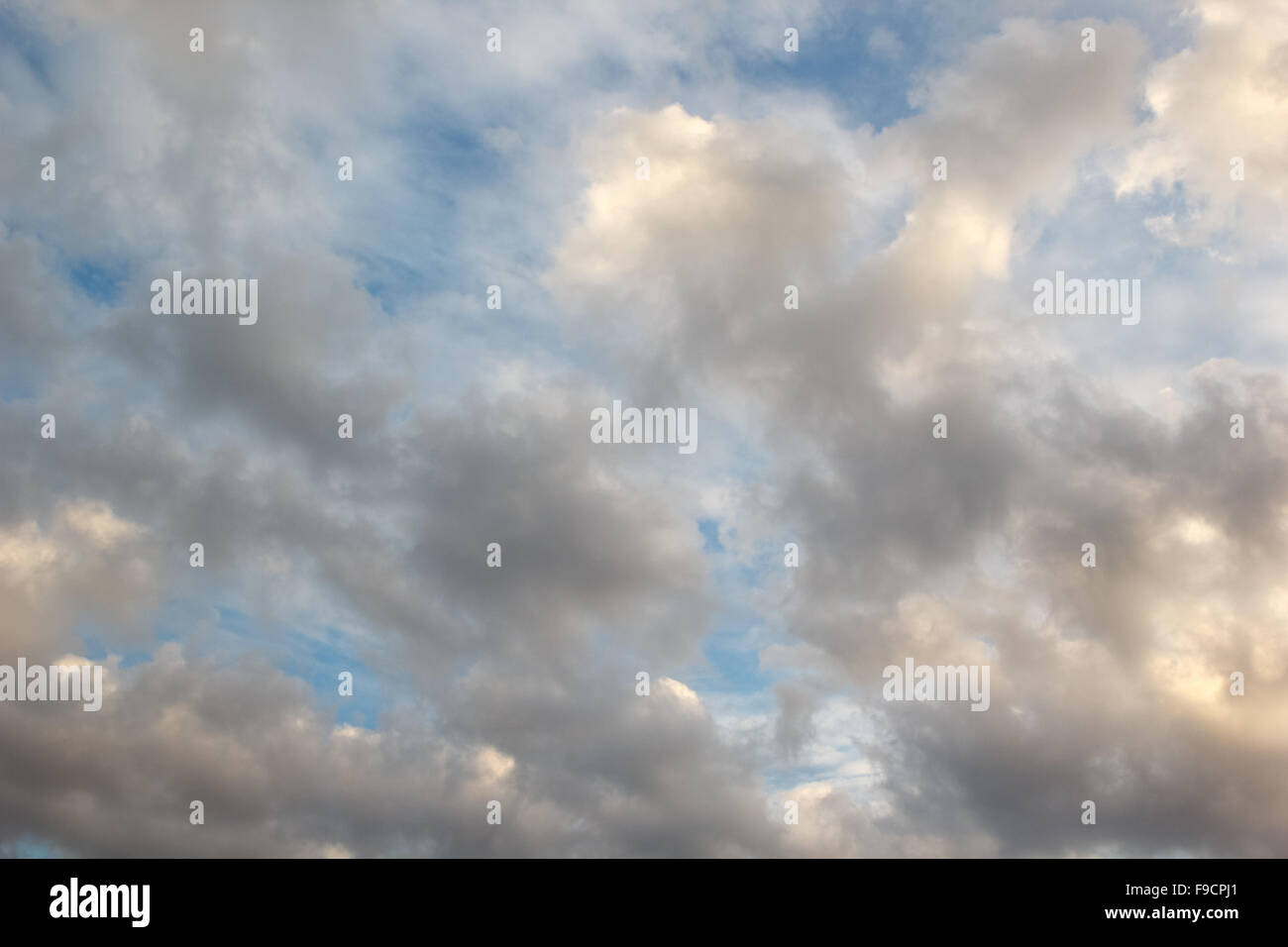 Cumulus nuvole nel cielo della sera prima del tramonto Foto Stock