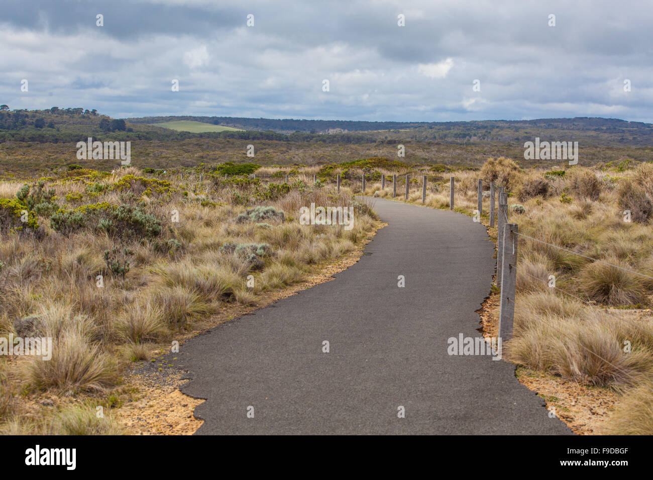 Percorso di avvolgimento tra vegetazione costiera sulla Great Ocean Road, Australia Foto Stock