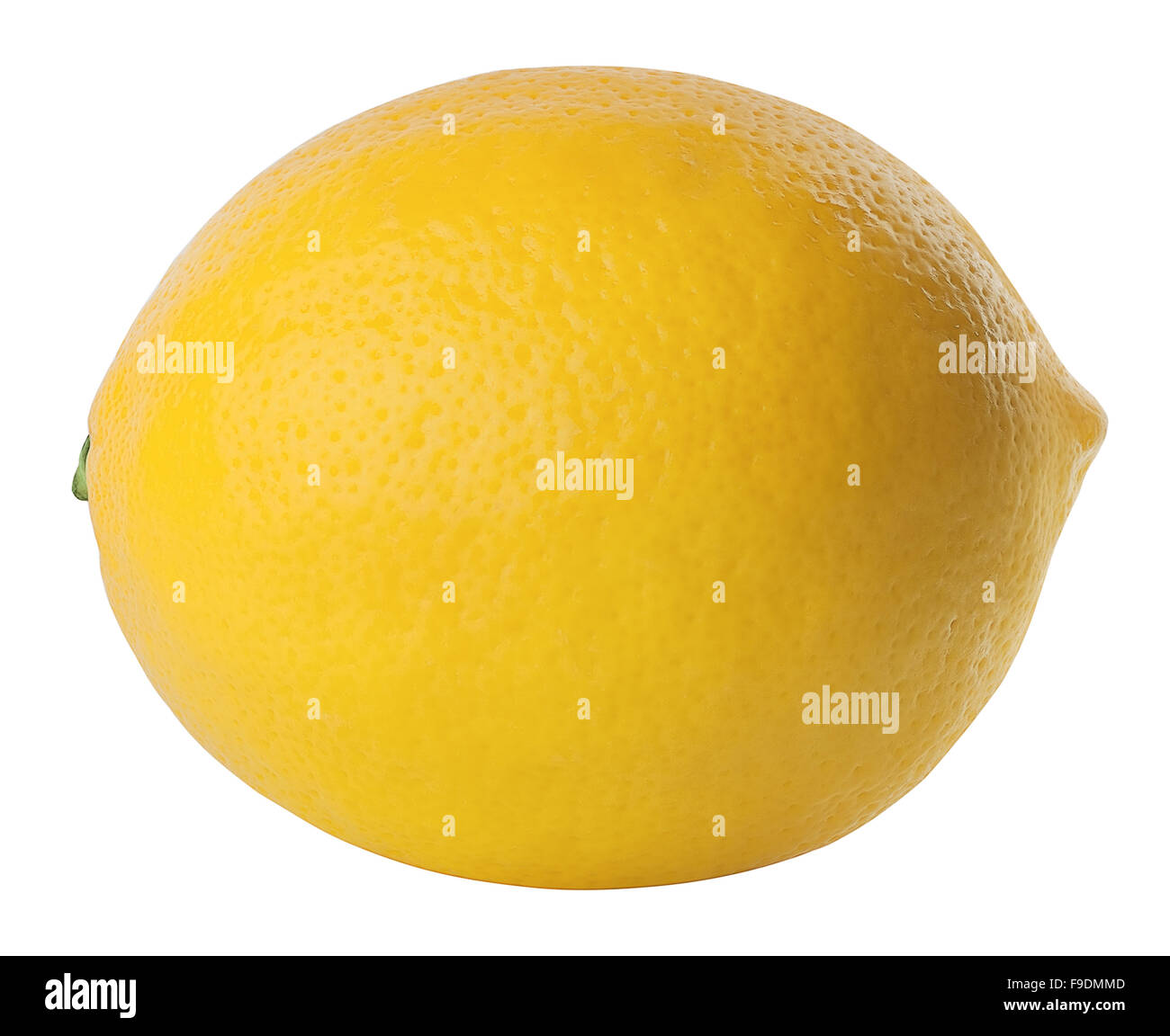 Un intero giallo limone maturo isolato su sfondo bianco Foto Stock