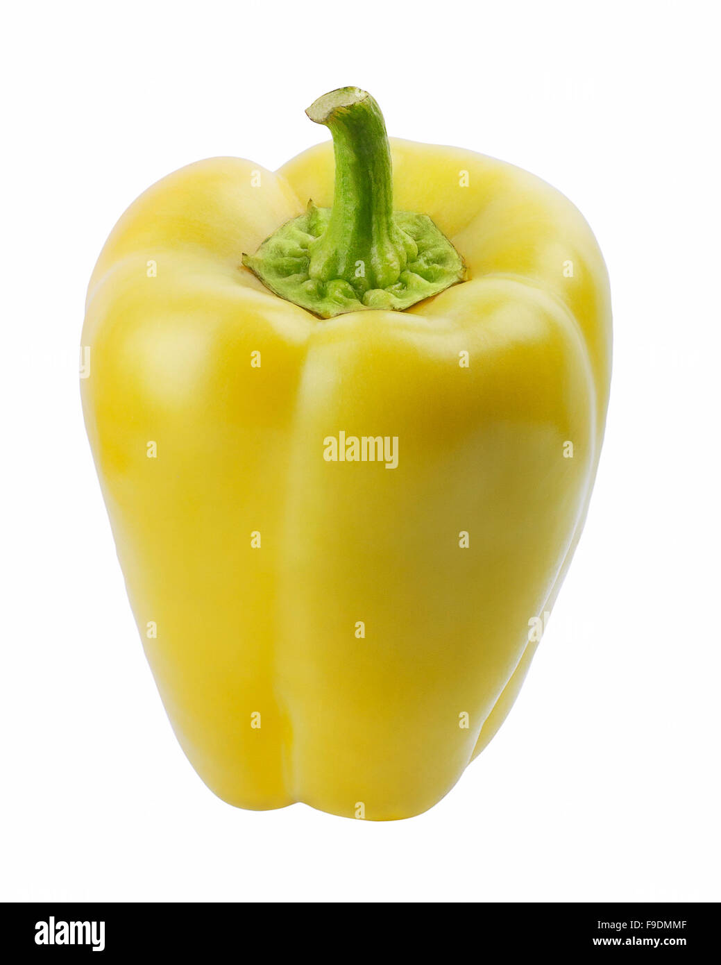 Peperone giallo isolato su sfondo bianco Foto Stock