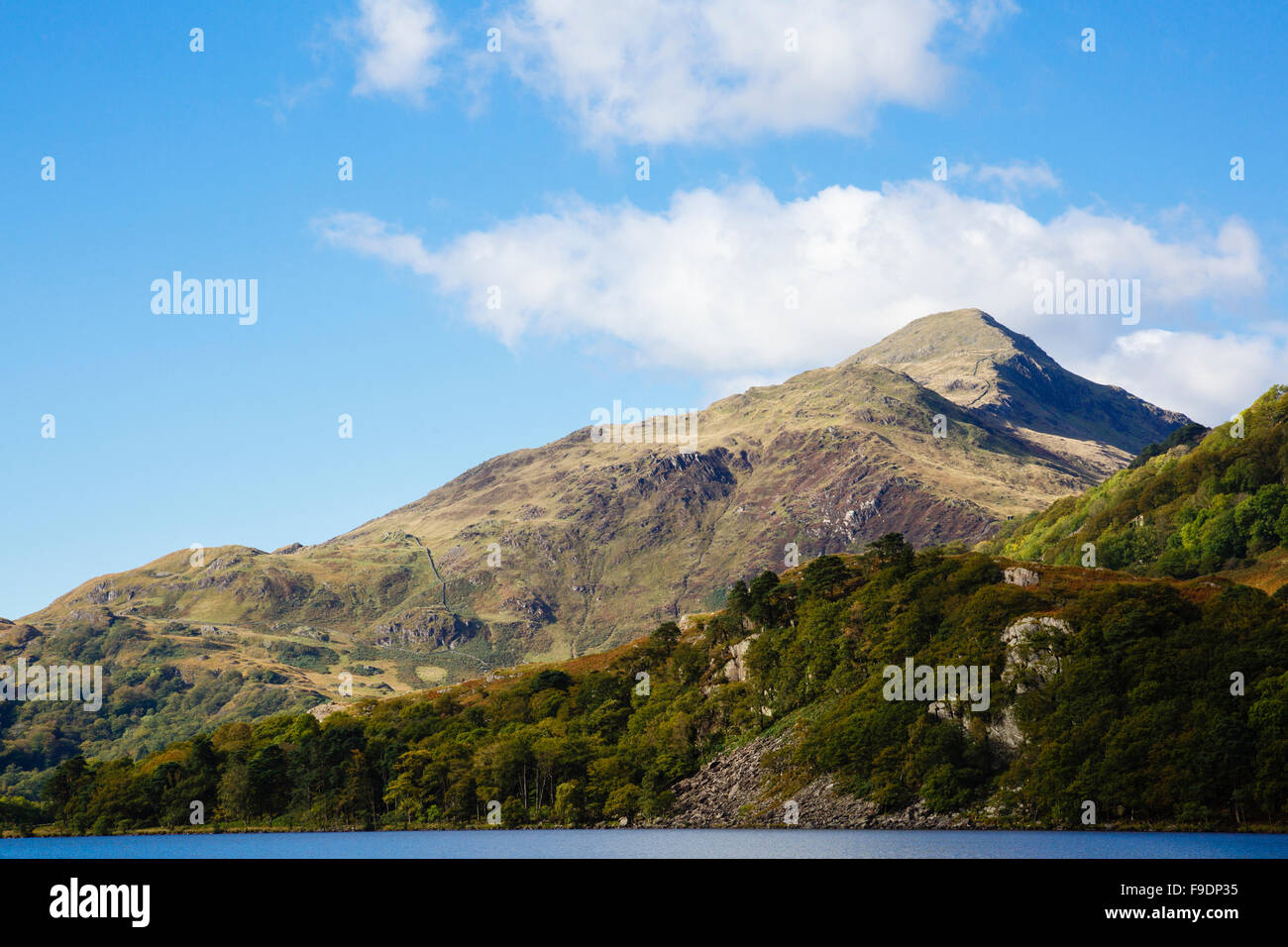 Yr Aran montagna attraverso Llyn Gwynant lago in Nant Gwynant valley nel Parco Nazionale di Snowdonia. Nantgwynant Gwynedd North Wales UK Foto Stock