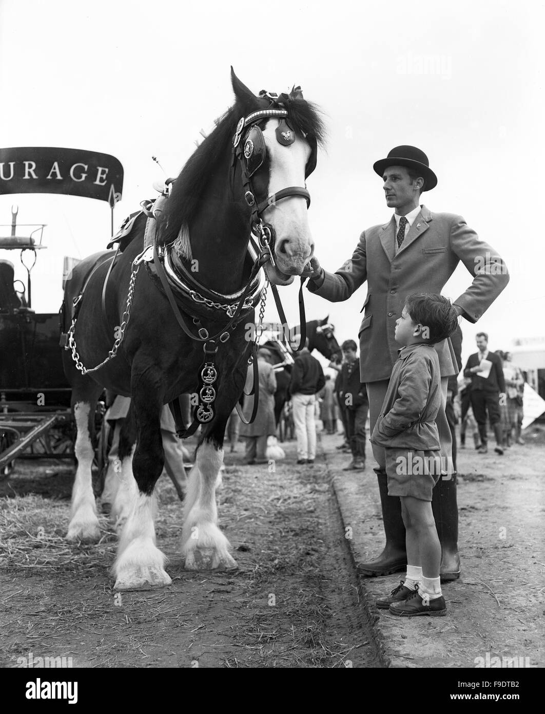 Il Royal Agricultural Show nel 1963 giovane ragazzo incontra una lavorazione shire cavallo Foto Stock