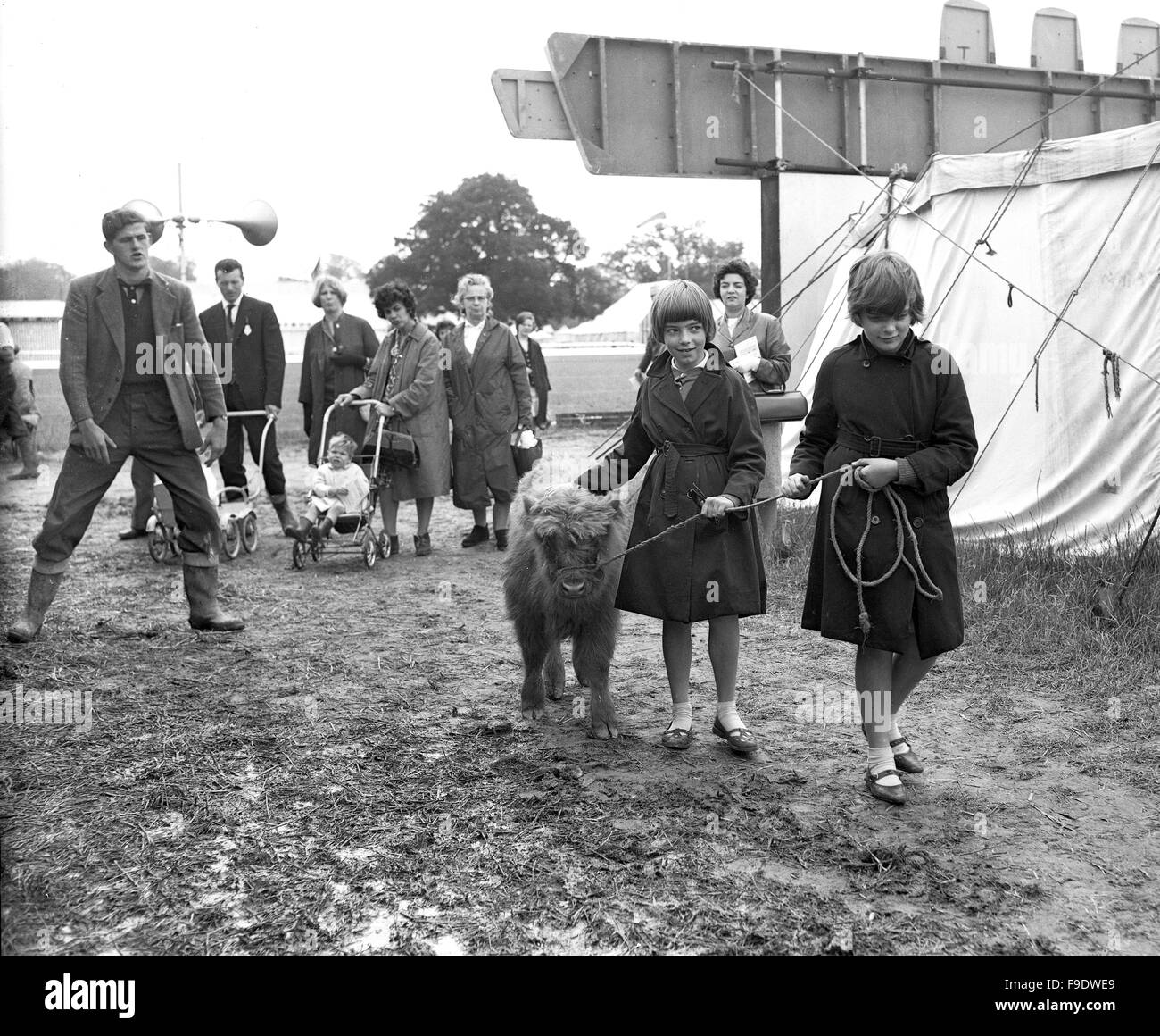 I bambini che portano highland Vitelli Bovini al Royal Agricultural Show di Stoneleigh 1963 Foto Stock