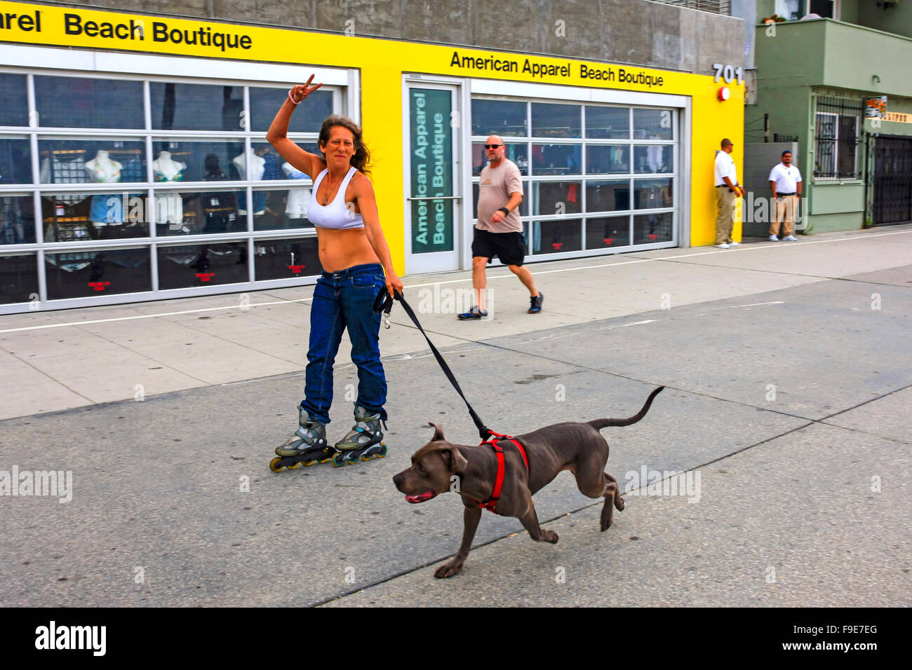 Donna sul rullo-pale esercita il suo cane sul fronte oceano a piedi in Venice, California Foto Stock