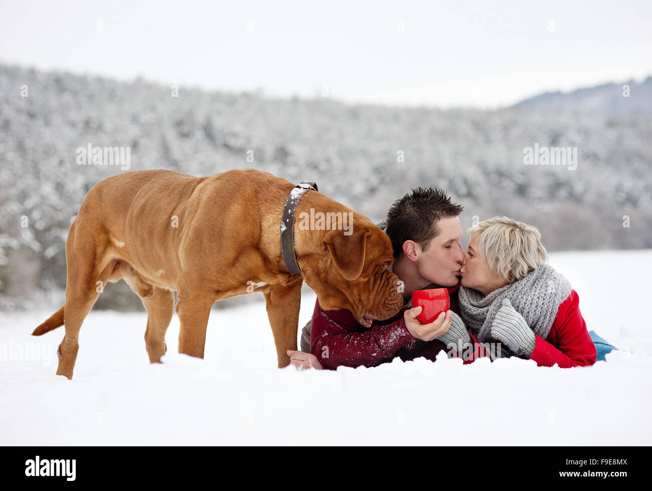 Donna e uomo sono avente la passeggiata con il cane in inverno paesaggio innevato Foto Stock