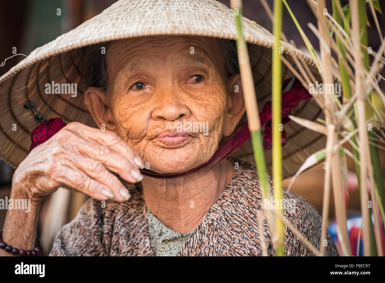 Una donna anziana fotografata al mercato locale ad Hoi An Foto Stock