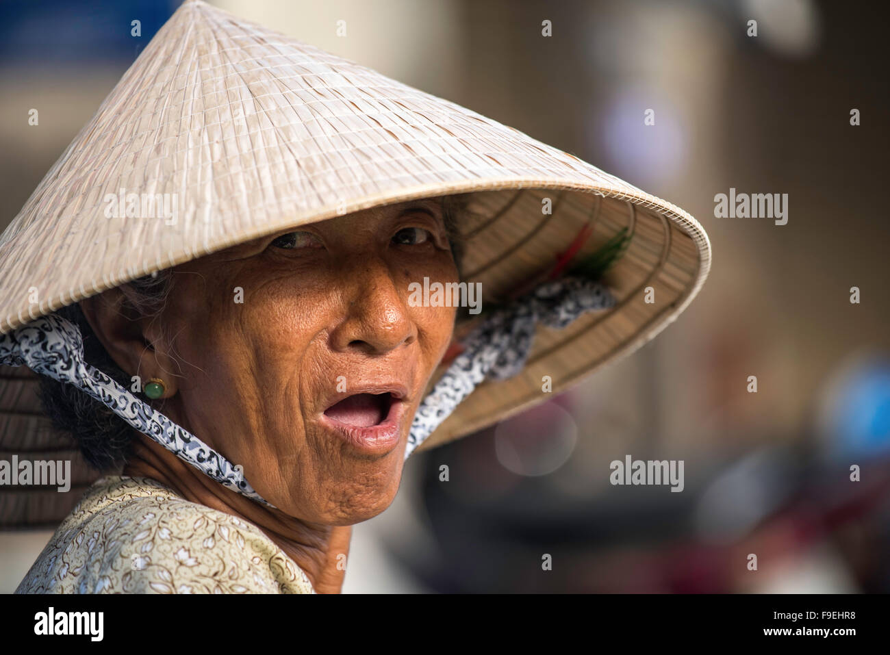 Anziana donna vietnamita indossando il tradizionale cappello conico Foto Stock