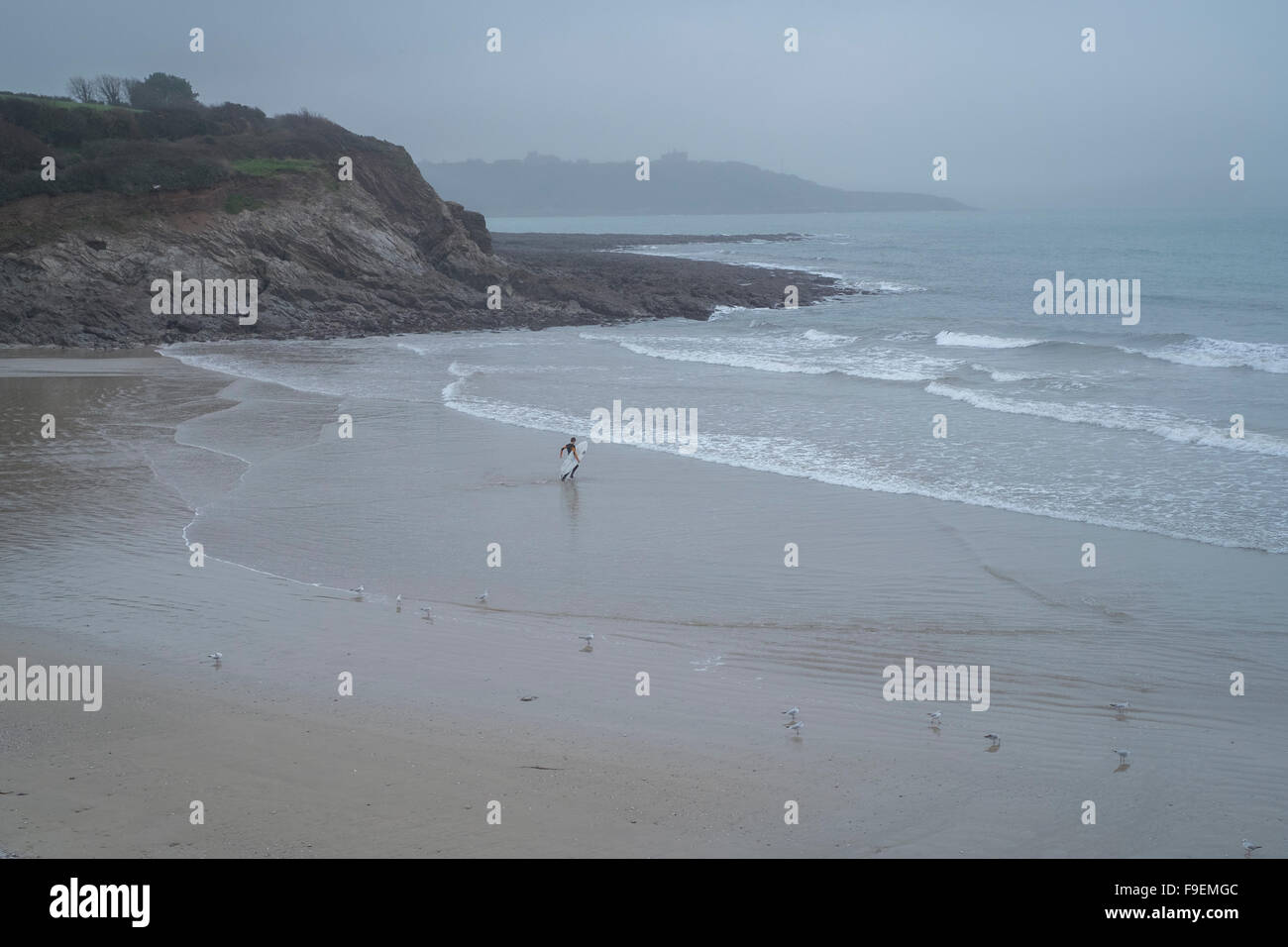 Un surfista capi in mare a Swanpool Beach, Falmouth, Cornwall. Despire la drizzly meteo, le temperature sono miti Foto Stock
