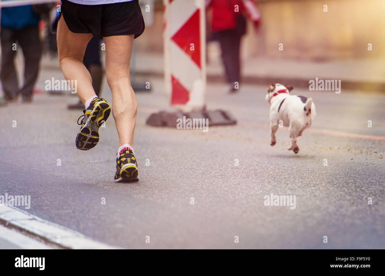 Irriconoscibile giovani runner e un cane in città gara Foto Stock