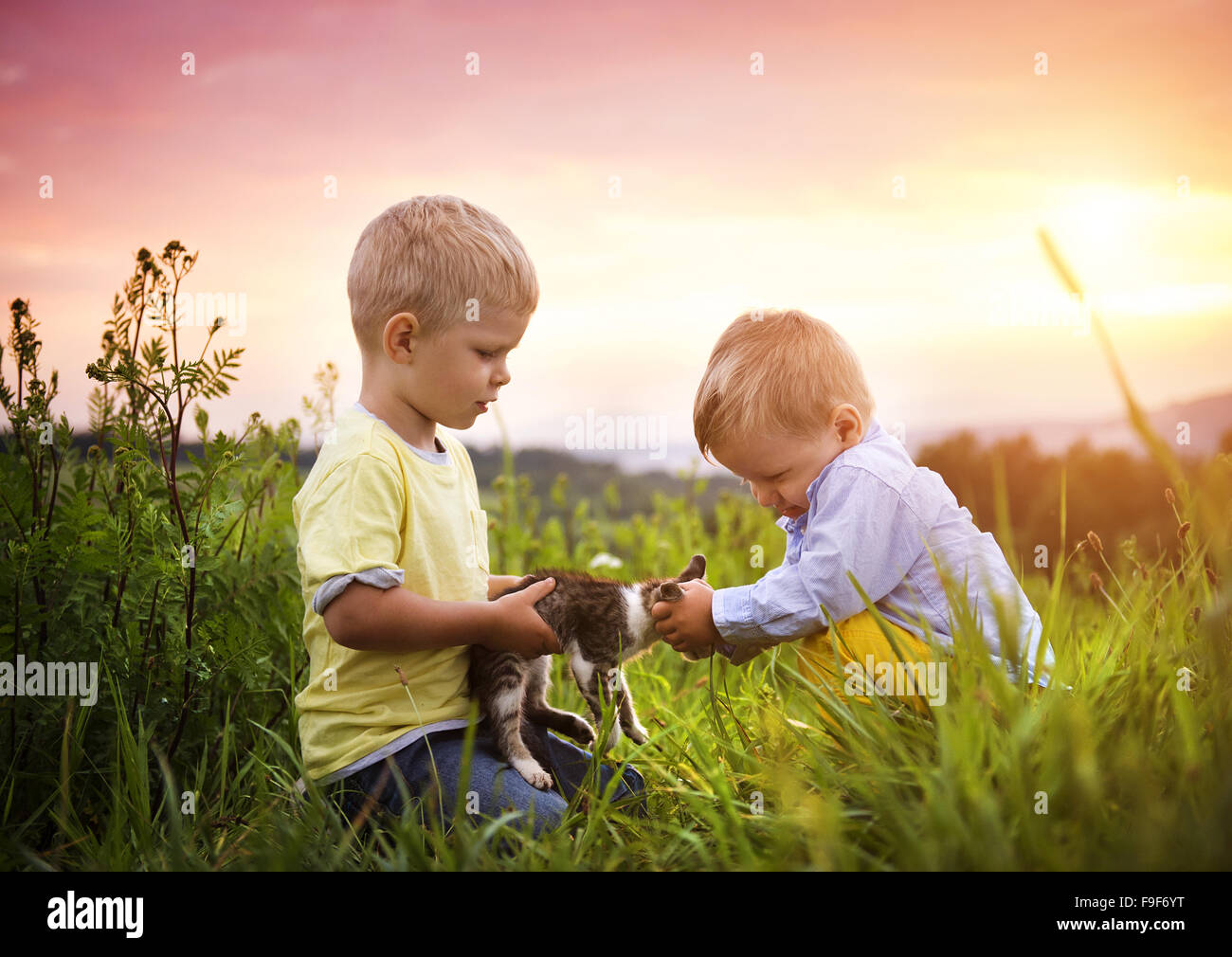 Ragazzi piccoli giocando con il cucciolo e divertirsi al di fuori in un parco Foto Stock