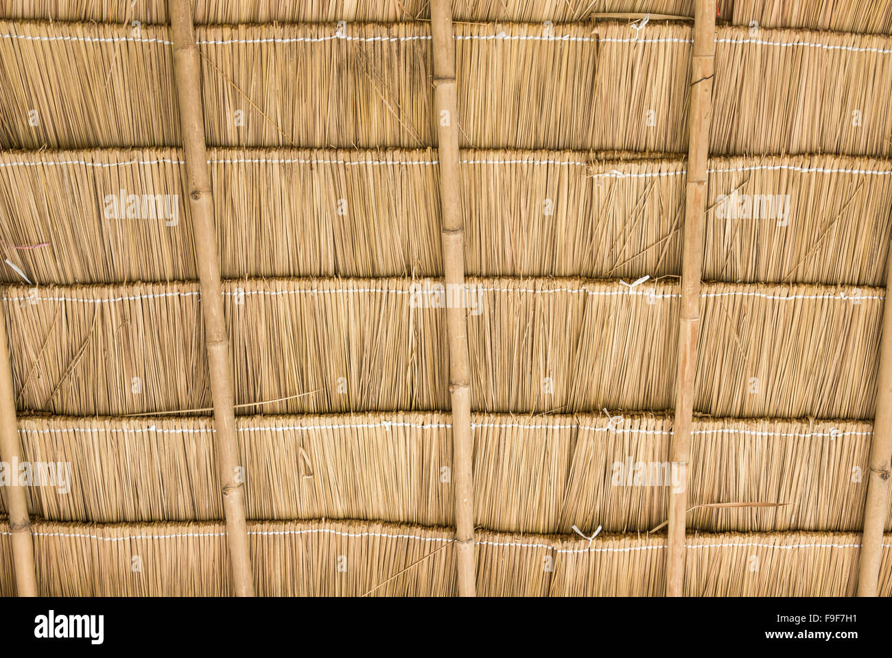 All'interno del tetto di paglia sulla campagna cottage. Foto Stock