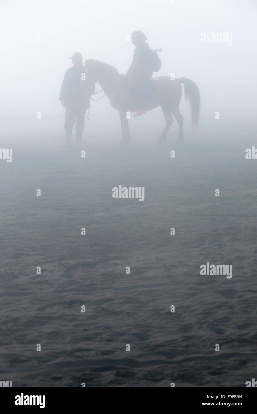Silhouette di persone e di cavalli nella nebbia o foschia Foto Stock
