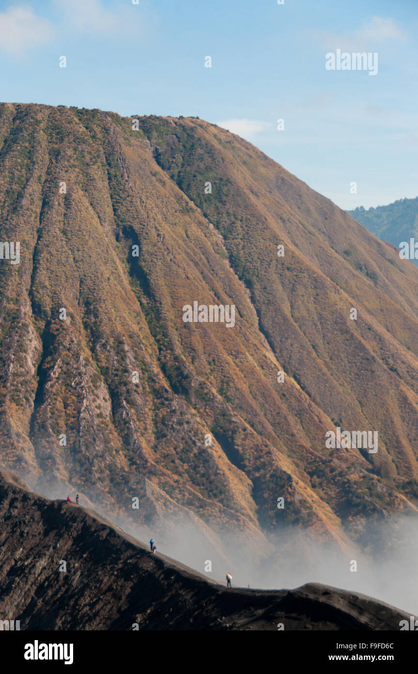 Gli alpinisti Escursionismo il vulcano Bromo top Foto Stock Gli alpinisti Escursionismo il vulcano Bromo top Foto Stock