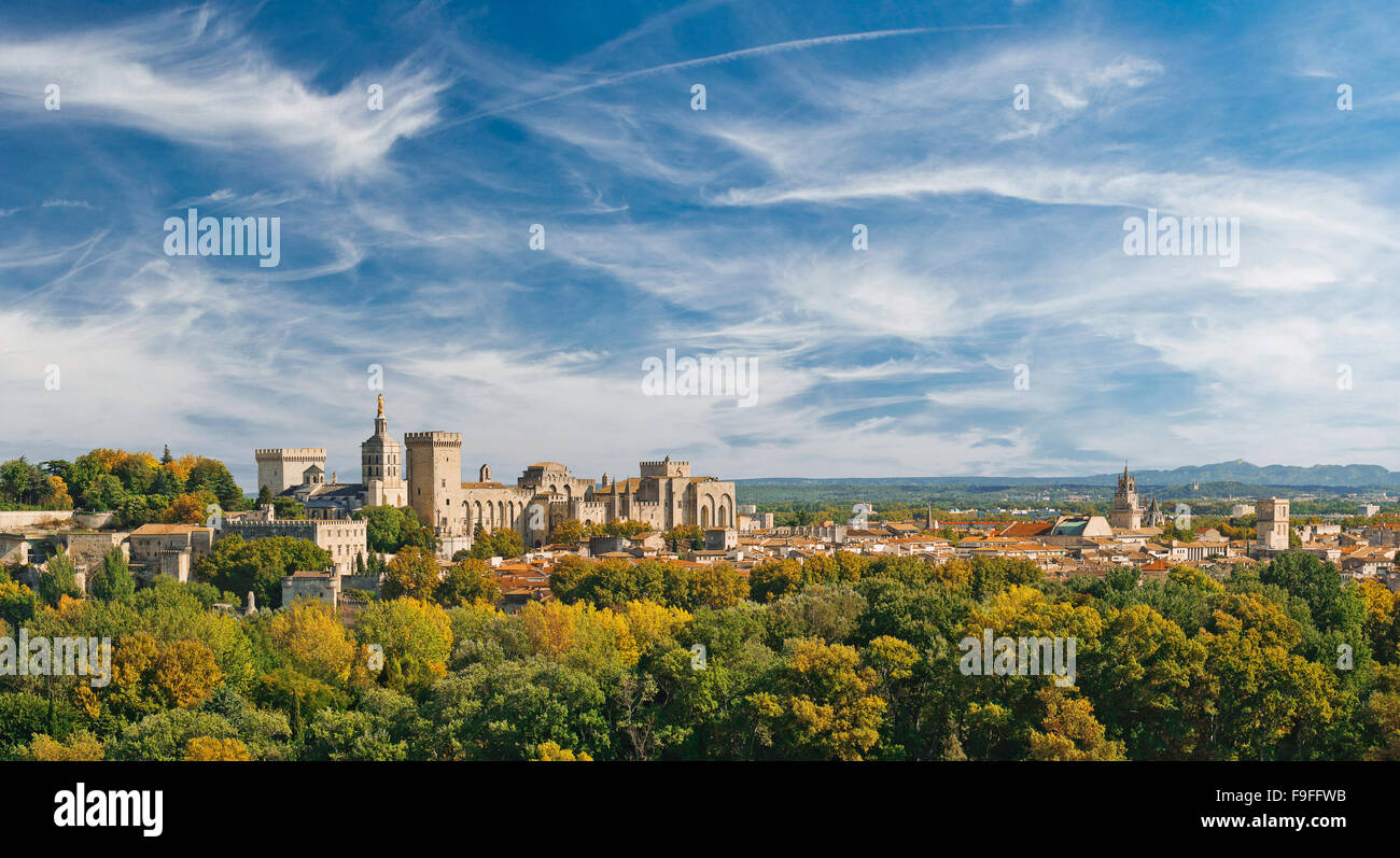 Ampia vista panoramica della città vecchia e il palazzo papale ad Avignone Foto Stock