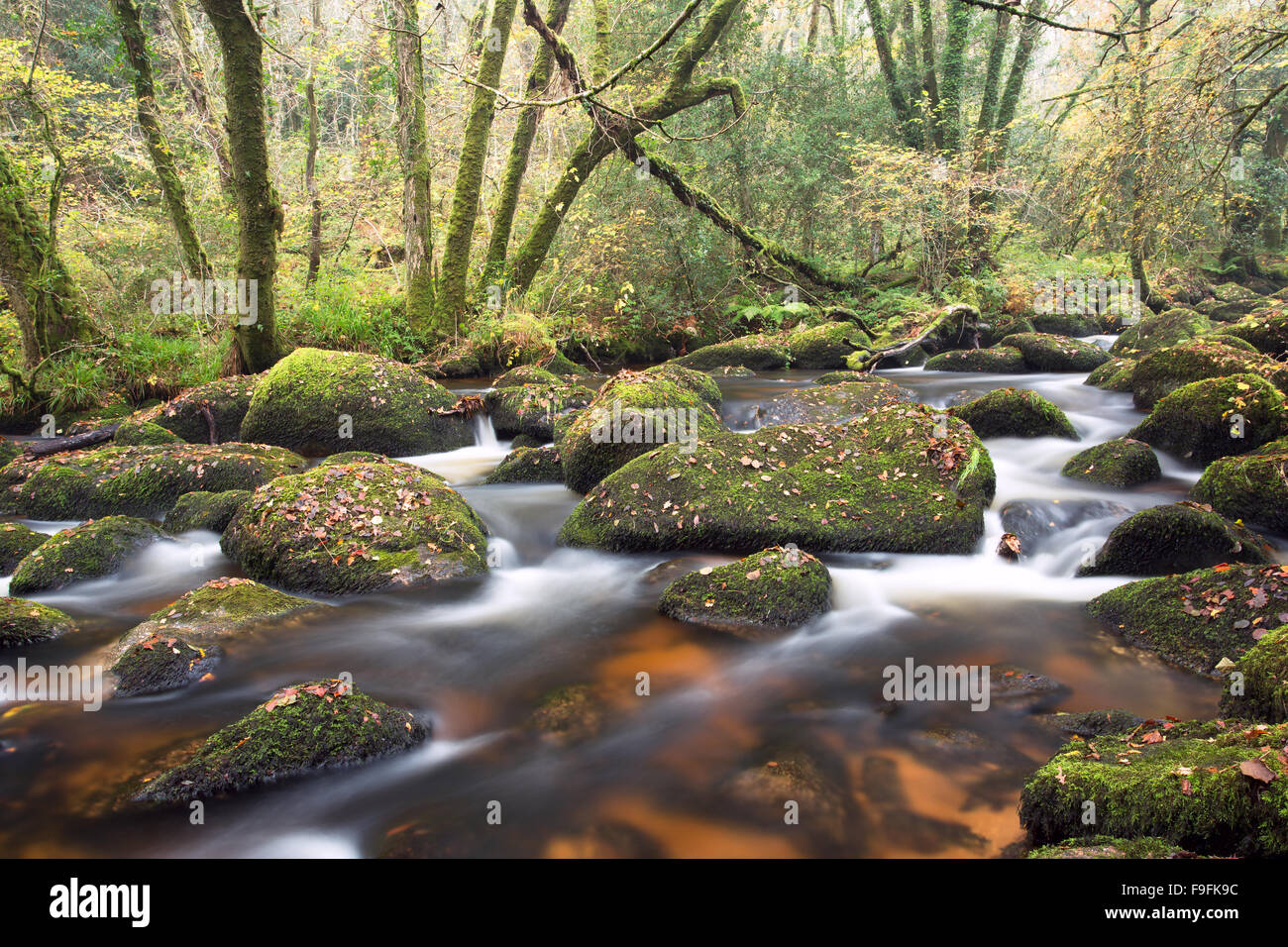 Il fiume Bovey fluente attraverso Lustleigh segmentano il Parco Nazionale di Dartmoor Devon UK Foto Stock