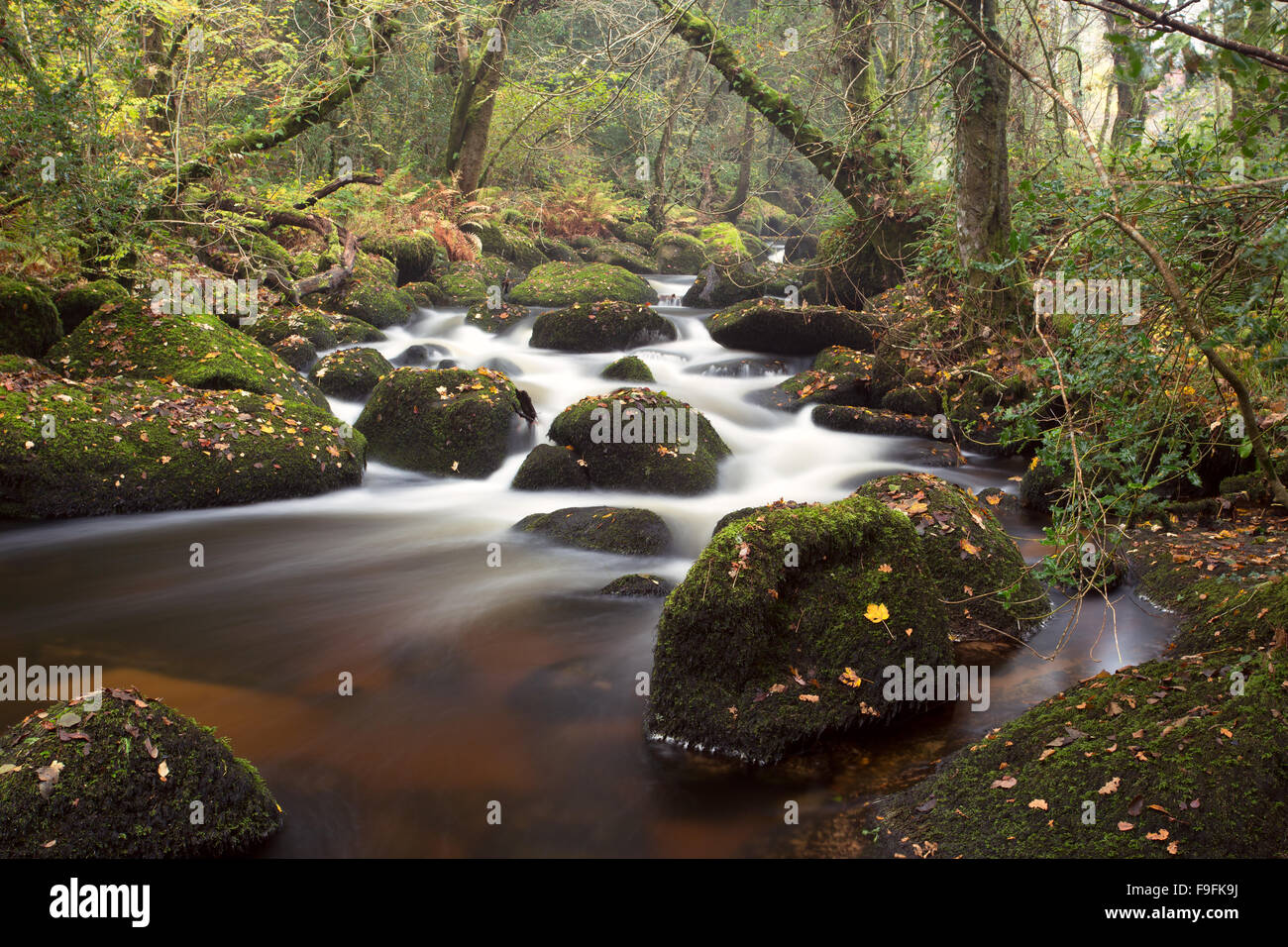 Il fiume Bovey fluente attraverso Lustleigh segmentano il Parco Nazionale di Dartmoor Devon UK Foto Stock