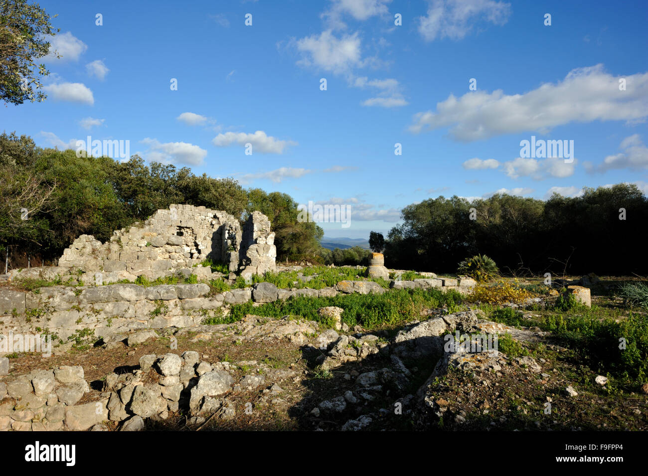 Italia, Toscana, Argentario, Orbetello, Ansedonia, rovine dell'antica città romana di cosa, tempio D. Foto Stock