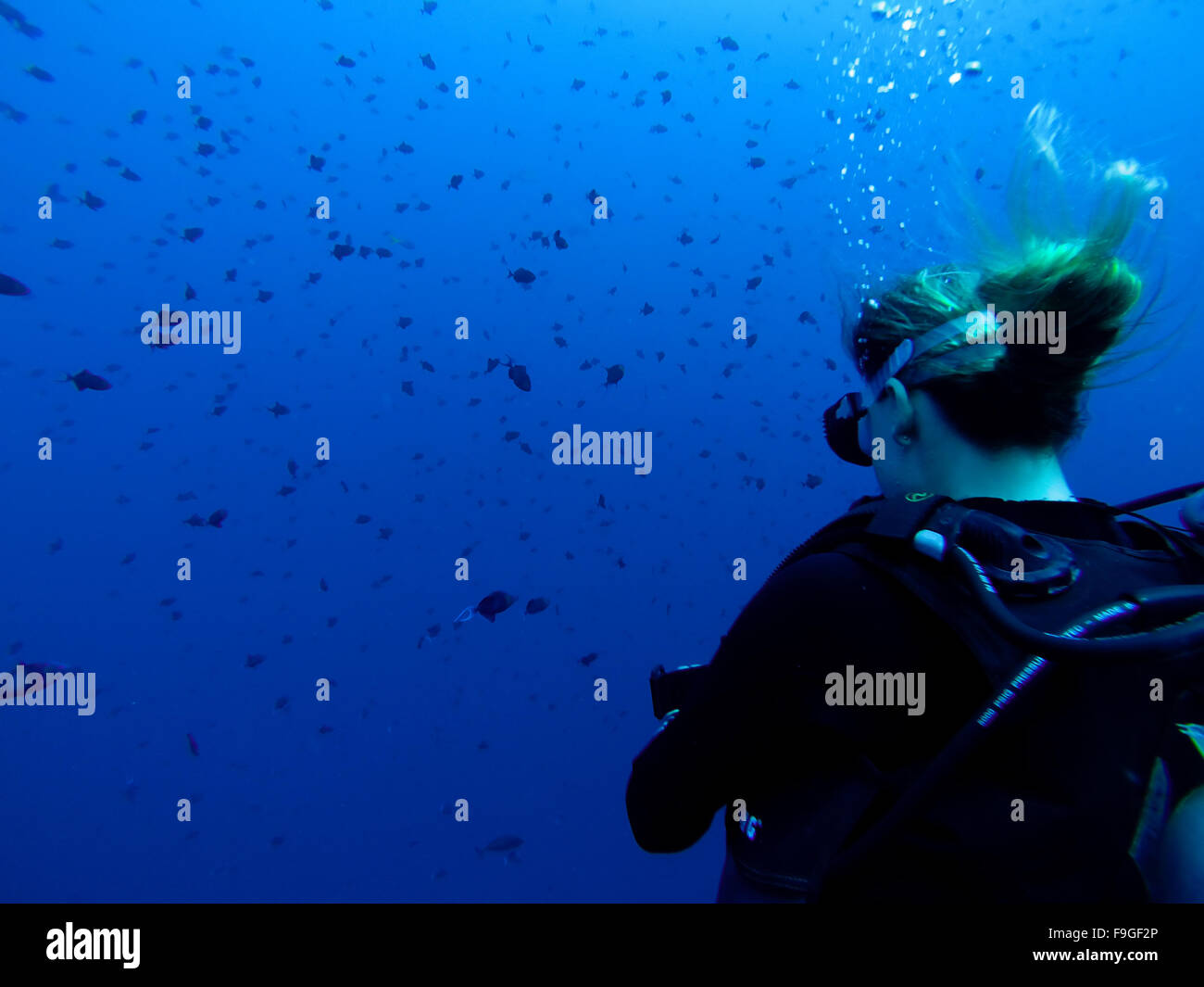 La donna da dietro a guardare il pesce sott'acqua di Bunaken Island Foto Stock