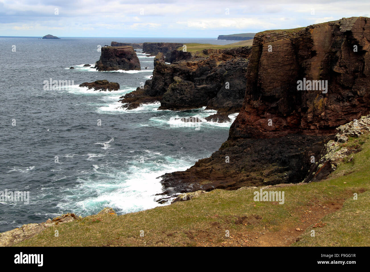 Scogliere Eshaness nei pressi di Calder Geo, penisola Northmavine terraferma le isole Shetland Scozia UK Foto Stock