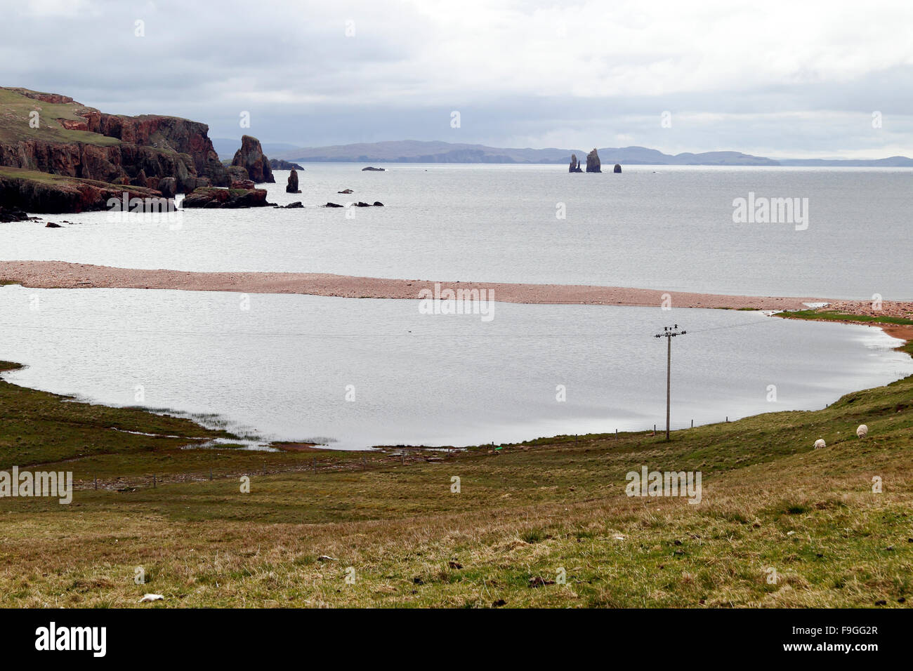 Il Drongs pietra arenaria rossa seastacks Il Neap Braewick scogliere Northmavine terraferma le isole Shetland Scozia UK Foto Stock
