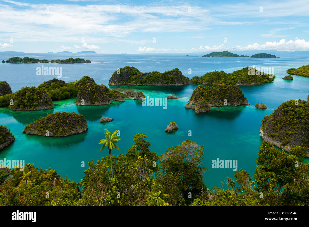 Molte piccole isole verdi appartenenti alla Fam isola nel mare di Raja Ampat, Papua Nuova Guinea Foto Stock