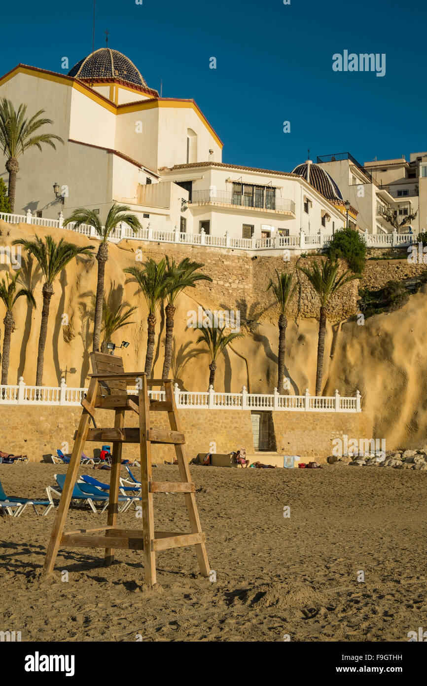 BENIDORM, Spagna - 8 dicembre 2015: lucertole da mare godendo di lieve tardo autunno temperature e sole splendente su Spains la maggior parte dei po Foto Stock