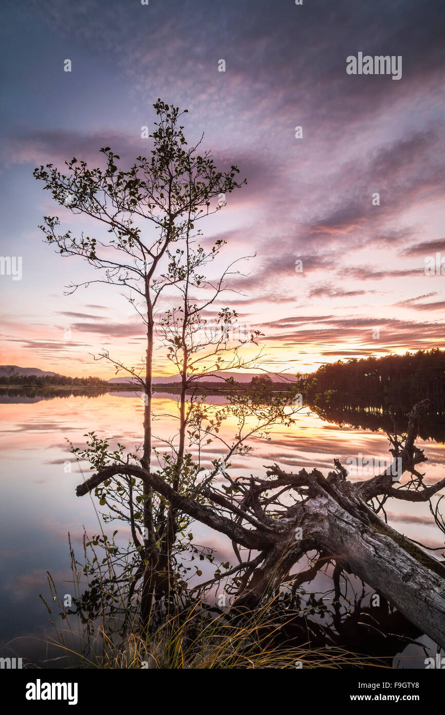 Loch Mallachie nel Parco Nazionale di Cairngorms della Scozia. Foto Stock